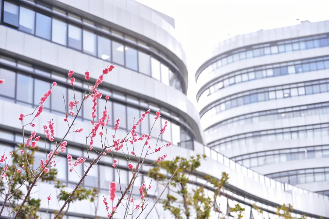  BEAT365中药研究所研发中药1类新药车前子片获新药临床试验批件