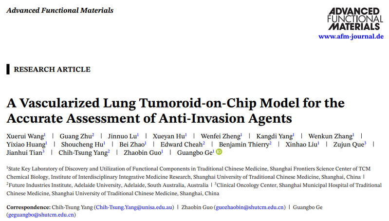 BEAT365交叉科学研究院团队成功研发血管化肺癌类器官芯片