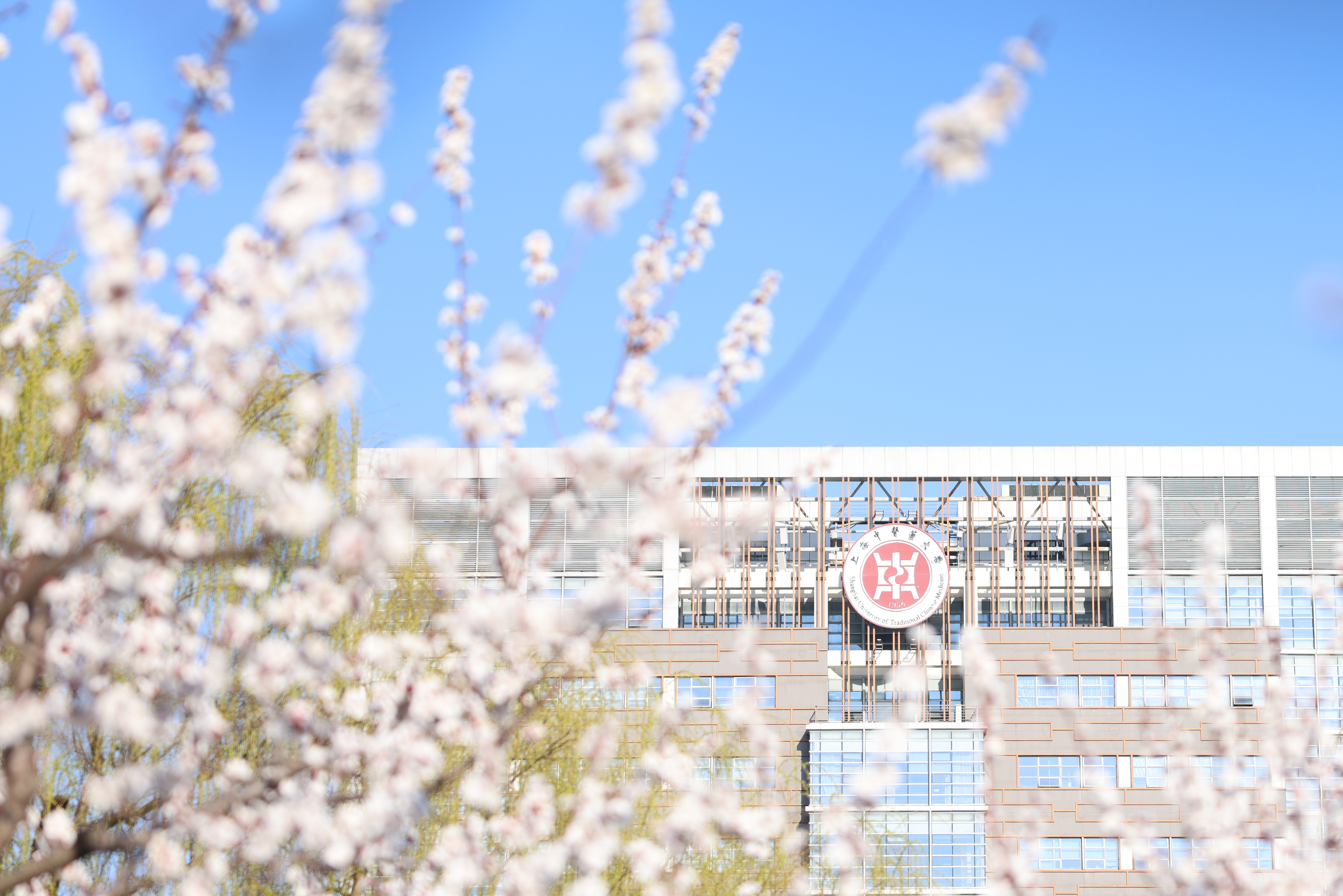 BEAT36510部教材入选“十四五”普通高等教育本科国家级规划教材